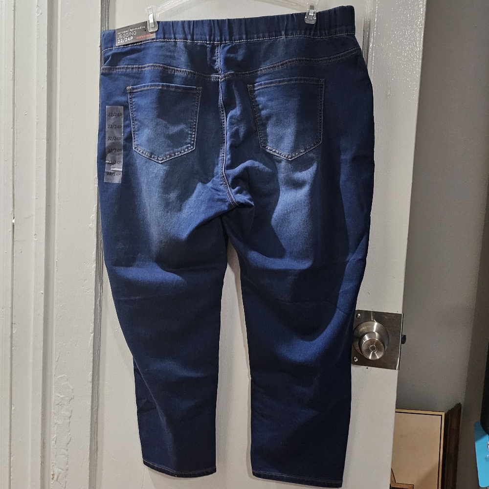 Avenue high rise jegging size 22/24P, NWT - Picture 3 of 7